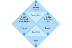 What is Executive Leadership?
